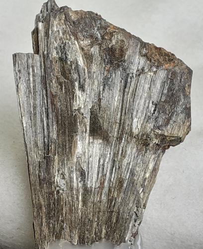 Anthophyllite, Almandine<br />Mina Monteneve (Mina Schneeberg), Val Passiria/Passeiertal, Moso in Passiria (Moos in Passeier), Provincia Trento, Trentino-Alto Adige (Trentino-Südtirol), Italia<br />5,5 x 3,5 cm<br /> (Author: Volkmar Stingl)