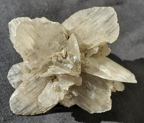 Gypsum<br />Wansleben, Distrito Mansfeld-Südharz, Sajonia-Anhalt/Sachsen-Anhalt, Alemania<br />5,5 x 5,5 cm<br /> (Author: Volkmar Stingl)