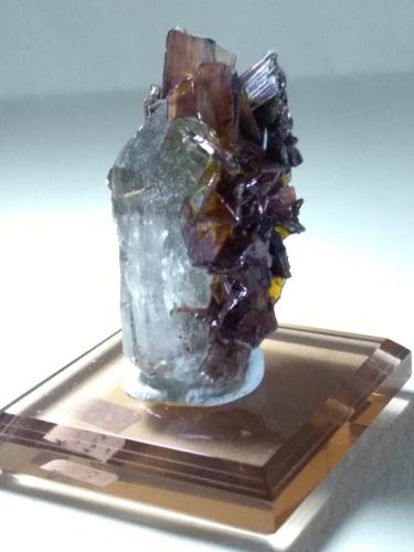 Brookite, Quartz<br />Taftan, Distrito Chagai, Balochistan (Baluchistan), Paquistán<br />40 x 26 mm<br /> (Author: Sante Celiberti)