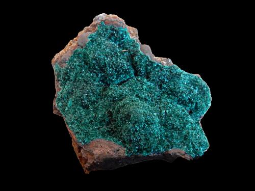 Brochantite<br />Provincia Copiapó, Región Atacama, Chile<br />64 mm x 47 mm x 22 mm<br /> (Author: Dany Mabillard)