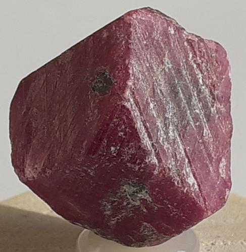 Corundum (variety ruby)<br />Distrito Mysore, Karnataka, India<br />20 x 15 mm<br /> (Author: Volkmar Stingl)