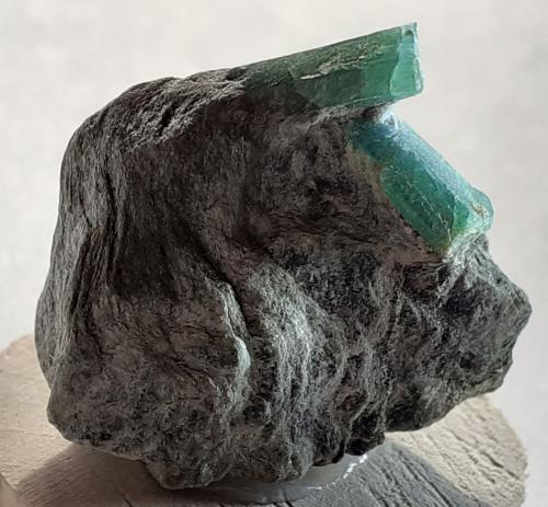 Beryl (variety emerald)<br />Sedl, Valle Habach, Hohe Tauern, Salzburgo/Salzburg, Austria<br />2 x 2 cm<br /> (Author: Volkmar Stingl)