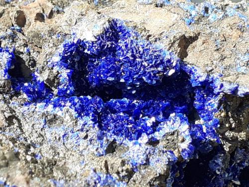 Azurite<br />Mina Morenci, Morenci, Distrito Copper Mountain, Montes Shannon, Condado Greenlee, Arizona, USA<br />5,5 x 4 cm<br /> (Author: Volkmar Stingl)