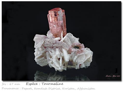 Tourmaline<br />Paprok, Kamdesh District, Nuristan Province, Afghanistan<br />fov 67 mm<br /> (Author: ploum)