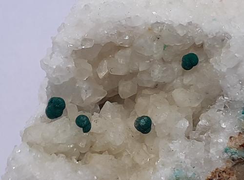 Malachite, Calcite<br />Distrito minero Ringenwechsel, Troi, Distrito Schwaz, Valle Inn, Tirol Norte, Tirol, Austria<br />FoV 2,5 x 2 cm<br /> (Author: Volkmar Stingl)