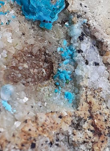 Chrysocolla, Dolomite, Calcite, Cuproadamite (?)<br />Distrito minero Ringenwechsel, Troi, Distrito Schwaz, Valle Inn, Tirol Norte, Tirol, Austria<br />8 x 5 cm<br /> (Author: Volkmar Stingl)