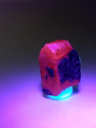 Corundum (variety ruby)<br />Luc Yen, Provincia Yenbai, Vietnam<br />21 x 15 mm<br /> (Author: Sante Celiberti)