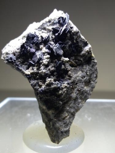 Covellite<br />Butte, Distrito Butte, Condado Silver Bow, Montana, USA<br />44 x 34 mm<br /> (Author: Sante Celiberti)