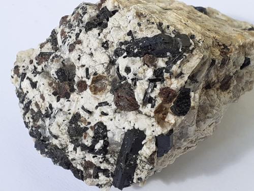 Schorl (Tourmaline Group), Almandine (Garnet Group)<br />Val Martello (Martelltal), Gruppo Ortles-Cevedale (Ortlergruppe), Val Venosta (Vinschgau), Autonomous Province South Tyrol, Trentino-Alto Adige (Trentino-Südtirol), Italy<br />8 x 6,5 cm<br /> (Author: Volkmar Stingl)