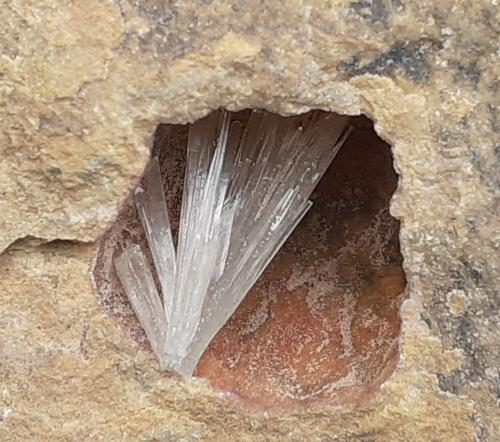 Aragonite<br />Grissianer Graben, Grissiano, Nalles (Nals), Provincia autónoma Tirol del Sur, Trentino-Alto Adige (Trentino-Südtirol), Italia<br />7,5 x 7 cm<br /> (Author: Volkmar Stingl)