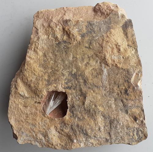 Aragonite<br />Grissianer Graben, Grissiano, Nalles (Nals), Provincia autónoma Tirol del Sur, Trentino-Alto Adige (Trentino-Südtirol), Italia<br />7,5 x 7 cm<br /> (Author: Volkmar Stingl)