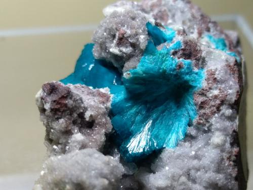 Cavansite, Stilbite-Ca<br />Canteras Wagholi, Wagholi, Distrito Pune (Distrito Poonah), Maharashtra, India<br />46 x 25 mm<br /> (Author: Sante Celiberti)