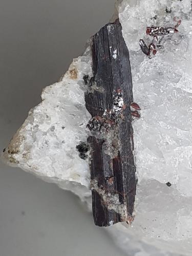 Rutile<br />Moaralm, Valle Habach, Hohe Tauern, Salzburgo/Salzburg, Austria<br />4 x 3 cm<br /> (Author: Volkmar Stingl)