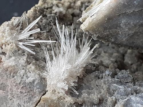 Aragonite<br />Hörndlinger Graben, Hochfilzen, Distrito Kitzbühel, Tirol Norte, Tirol, Austria<br />8 x 7 cm<br /> (Author: Volkmar Stingl)