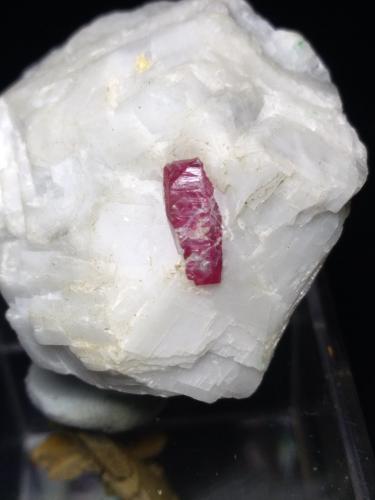 Corundum (variety ruby)<br />Ali Abad, Valle Hunza, Distrito Nagar, Gilgit-Baltistan (Áreas del Norte), Paquistán<br />29 x 27 mm<br /> (Author: Sante Celiberti)