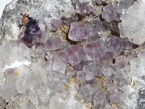 Fluorite<br />Mina Yongping, Yongping, Yanshan, Prefectura Shangrao, Provincia Jiangxi, China<br />6 x 4,5 cm<br /> (Author: Volkmar Stingl)