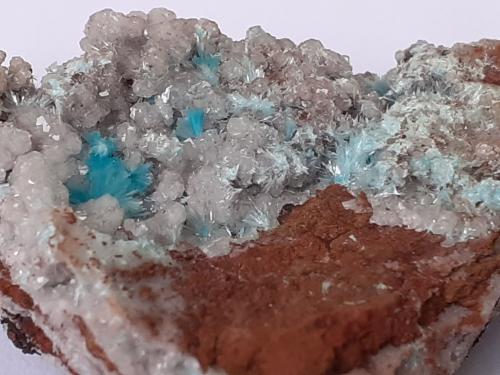 Aurichalcite, Calcite<br />Distrito minero Lavrion, Prefectura Attikí (Attica), Grecia<br />4 x 2,5 cm<br /> (Author: Volkmar Stingl)