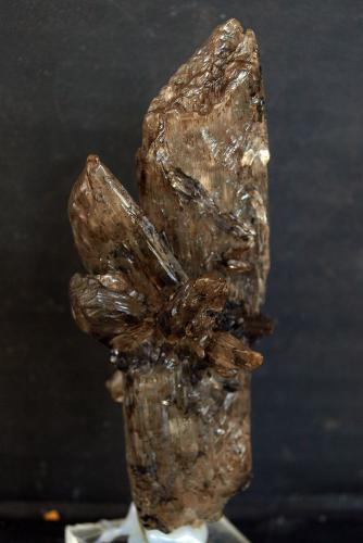 Yeso<br />Barranco de la Tejera, Loma de la Cuna, Montalbán, Comarca Cuencas Mineras, Teruel, Aragon, Spain<br />9.5 x 4 cm<br /> (Autor: Pedro Antonio)