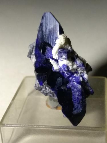 Azurite<br />Mina Tsumeb, Tsumeb, Región Otjikoto, Namibia<br />31 x 17 mm<br /> (Author: Sante Celiberti)