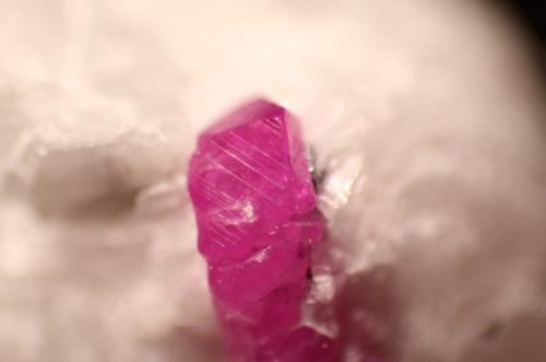 Corundum (variety ruby)<br />Jagdalek Mine, Surobi, Kabul, Afganistán<br />Crystal: 12 mm.<br /> (Author: Firmo Espinar)