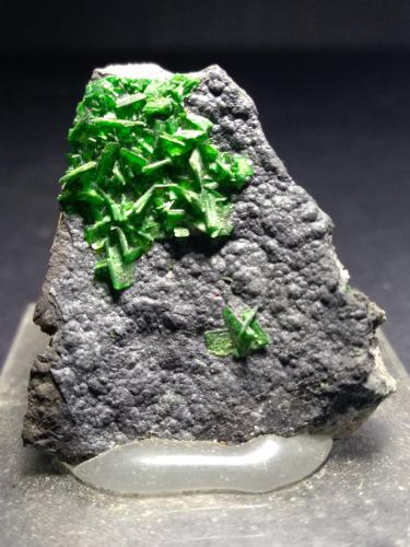 Torbernite<br />Mina Musonoi, Kolwezi, Distrito Kolwezi, Lualaba, Cinturón de cobre de Katanga, Katanga (Shaba), República Democrática del Congo (Zaire)<br />30 x 25 mm<br /> (Author: Sante Celiberti)