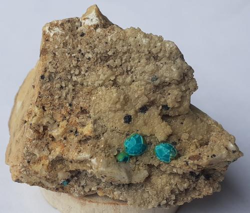 Chrysocolla, Tenorite, Dolomite, Calcite<br />Distrito minero Ringenwechsel, Troi, Distrito Schwaz, Valle Inn, Tirol Norte, Tirol, Austria<br />4,5 x 3 cm<br /> (Author: Volkmar Stingl)