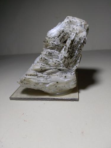 Baryte, Chalcopyrite<br />Mina Dreislar, Dreislar, Winterberg, Sauerland, Renania del Norte-Westfalia/Nordrhein-Westfalen, Alemania<br />83 x 60 mm<br /> (Author: Sante Celiberti)