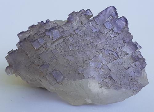 Fluorite<br />Melchor Múzquiz, Municipio Melchor Múzquiz, Coahuila (Coahuila de Zaragoza), México<br />4 x 2,5 cm<br /> (Author: Volkmar Stingl)