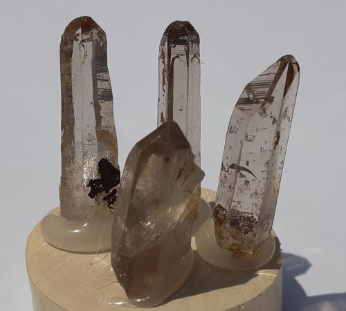 Quartz (variety smoky Quartz)<br />Ahornspitze, Mayrhofen, Valle Ziller (Zillertal), Tirol Norte, Tirol, Austria<br />largest crystal 2,4 cm<br /> (Author: Volkmar Stingl)