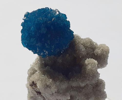 Cavansite<br />Canteras Wagholi, Wagholi, Distrito Pune (Distrito Poonah), Maharashtra, India<br />3,5 x 2,5 cm<br /> (Author: Volkmar Stingl)