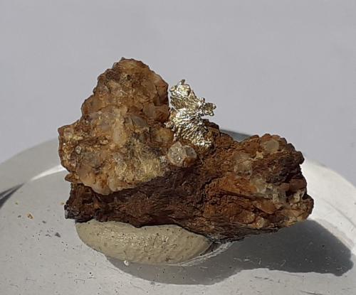 Gold<br />Distrito Julcani, Provincia Angaraes, Departamento Huancavelica, Perú<br />2 x 1,5 cm<br /> (Author: Volkmar Stingl)