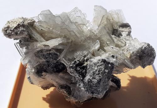 Baryte<br />Zona minera Cavnic, Cavnic, Maramures, Rumanía<br />7 x 4,5 cm<br /> (Author: Volkmar Stingl)