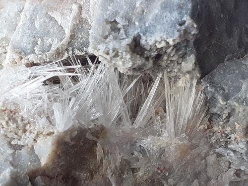 Aragonite<br />Hörndlinger Graben, Hochfilzen, Distrito Kitzbühel, Tirol Norte, Tirol, Austria<br />8 x 7 cm<br /> (Author: Volkmar Stingl)