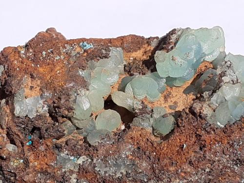 Cuproadamite<br />Mina Ojuela, Mapimí, Municipio Mapimí, Durango, México<br />5 x 3 cm<br /> (Author: Volkmar Stingl)