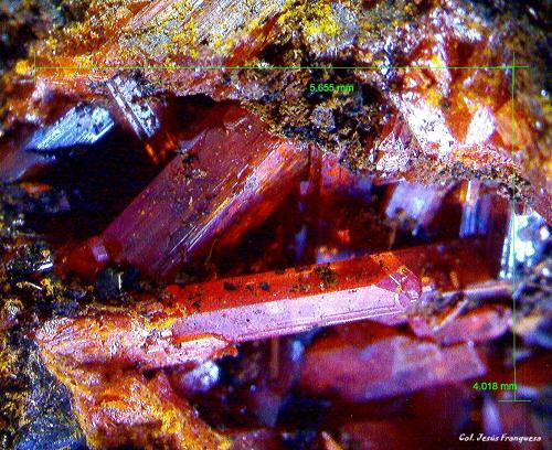 Crocoita.<br />Dundas, Distrito Zeehan, Consejo Costa Oeste, Tasmania, Australia<br />5´655 x 4´018 mm.<br /> (Autor: Jesus Franquesa Baucells)