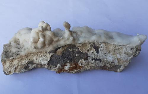 Aragonite (variety flos ferri)<br />Erzberg, Eisenerz (Steiermark), Distrito Leoben, Estiria/Steiermark, Austria<br />16 x 6 cm<br /> (Author: Volkmar Stingl)