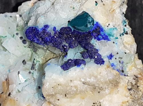 Azurite, Malachite, Dolomite<br />Distrito minero Ringenwechsel, Troi, Distrito Schwaz, Valle Inn, Tirol Norte, Tirol, Austria<br />3 x 3 cm<br /> (Author: Volkmar Stingl)