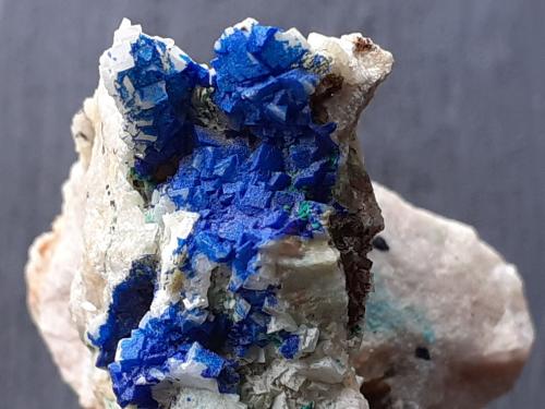 Azurite on Dolomite, Malachite<br />Distrito minero Ringenwechsel, Troi, Distrito Schwaz, Valle Inn, Tirol Norte, Tirol, Austria<br />3 x 2 cm<br /> (Author: Volkmar Stingl)