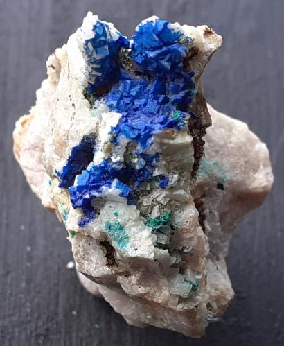 Azurite on Dolomite, Malachite<br />Distrito minero Ringenwechsel, Troi, Distrito Schwaz, Valle Inn, Tirol Norte, Tirol, Austria<br />3 x 2 cm<br /> (Author: Volkmar Stingl)