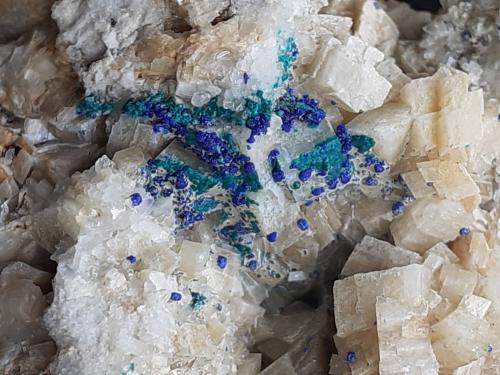 Azurite, Malachite, Dolomite<br />Distrito minero Ringenwechsel, Troi, Distrito Schwaz, Valle Inn, Tirol Norte, Tirol, Austria<br />4,5 x 3 cm<br /> (Author: Volkmar Stingl)