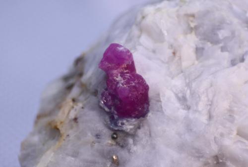 Corundum (variety ruby)<br />Ali Abad, Valle Hunza, Distrito Nagar, Gilgit-Baltistan (Áreas del Norte), Paquistán<br />57mm x 42mm x 32mm<br /> (Author: Firmo Espinar)