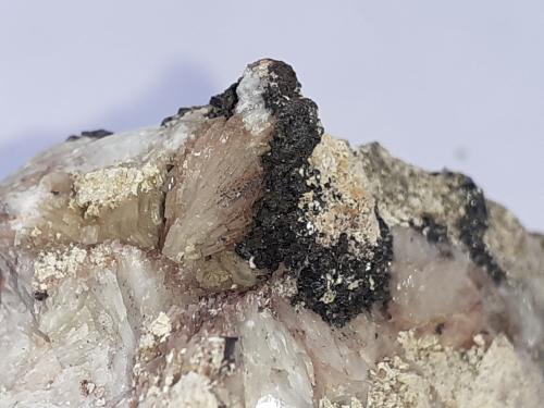 Descloizite, Baryte, Smithsonite, Greenockite<br />Distrito minero Hochobir, Monte Hochobir, Eisenkappel-Vellach, Distrito Völkermarkt, Carintia/Kärnten, Austria<br />3,5 x 3 cm<br /> (Author: Volkmar Stingl)