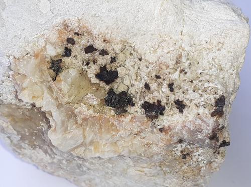 Descloizite, Baryte, Dolomite<br />Distrito minero Hochobir, Monte Hochobir, Eisenkappel-Vellach, Distrito Völkermarkt, Carintia/Kärnten, Austria<br />5 x 4 cm<br /> (Author: Volkmar Stingl)