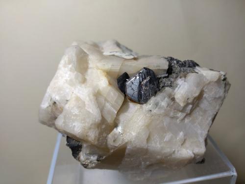 Carrollite, Bornite<br />Mina Kamoya South II, Kamoya, Distrito Kambove, Cinturón de cobre de Katanga, Katanga (Shaba), República Democrática del Congo (Zaire)<br />78 x 72 mm<br /> (Author: Sante Celiberti)