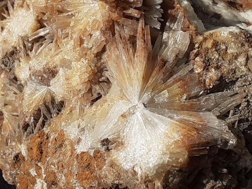 Aragonite<br />Depósito de magnesita, Bürglkopf, Hochfilzen, Distrito Kitzbühel, Tirol Norte, Tirol, Austria<br />10 x 8 cm<br /> (Author: Volkmar Stingl)