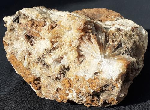 Aragonite<br />Depósito de magnesita, Bürglkopf, Hochfilzen, Distrito Kitzbühel, Tirol Norte, Tirol, Austria<br />10 x 8 cm<br /> (Author: Volkmar Stingl)