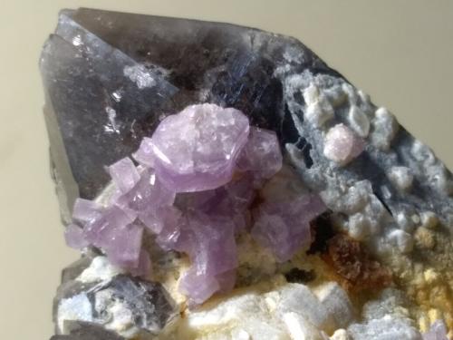 Fluorapatite, Quartz (variety smoky), Muscovite<br />Chumar Bakhoor, Valle Hunza, Distrito Nagar, Gilgit-Baltistan (Áreas del Norte), Paquistán<br />67 x 39 mm<br /> (Author: Sante Celiberti)