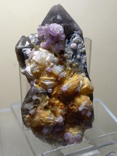 Fluorapatite, Quartz (variety smoky), Muscovite<br />Chumar Bakhoor, Valle Hunza, Distrito Nagar, Gilgit-Baltistan (Áreas del Norte), Paquistán<br />67 x 39 mm<br /> (Author: Sante Celiberti)