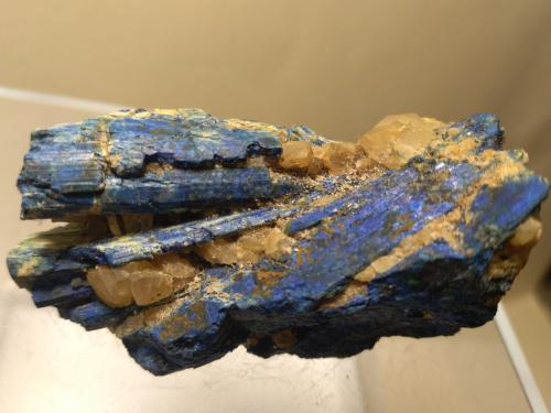 Chalcostibite, Azurite<br />Rhar el Anz (Rar el Anz), Oued Cherrat (Cherrat Wadi), Chaouia-Ouardigha, Prefectura Casablanca, Región Casablanca-Settat, Marruecos<br />48 x 26 mm<br /> (Author: Sante Celiberti)