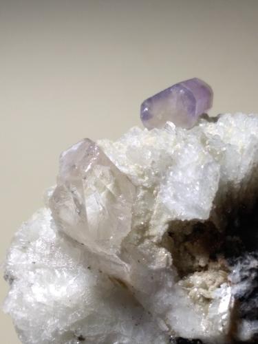 Fluorapatite, Topaz, Albite<br />Valle Shigar, Distrito Shigar, Gilgit-Baltistan (Áreas del Norte), Paquistán<br />59 x 56 mm<br /> (Author: Sante Celiberti)